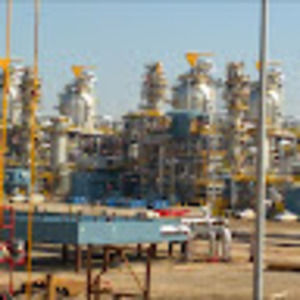 Meet your Posher, Larry